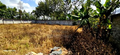 Commercial 1/4 Plot Perimetre Wall for Sale in Annex Eldoret - Image 8