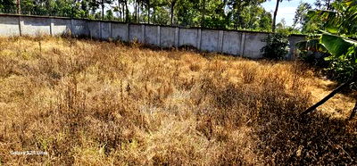 Commercial 1/4 Plot Perimetre Wall for Sale in Annex Eldoret - Image 5