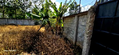 Commercial 1/4 Plot Perimetre Wall for Sale in Annex Eldoret - Image 1