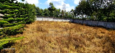 Commercial 1/4 Plot Perimetre Wall for Sale in Annex Eldoret - Image 3