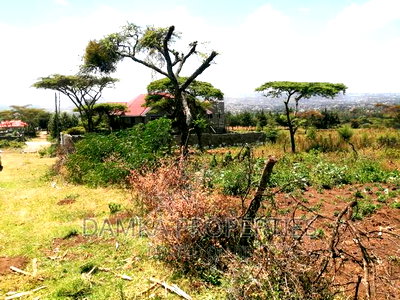 1/4 Acre Plot for Sale in Kiamunyi Near Olive Inn - Image 3