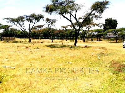 1/4 Acre Plot for Sale in Kiamunyi Near Olive Inn - Image 1