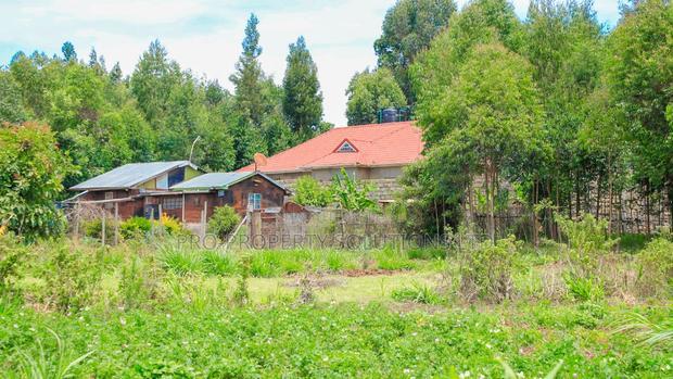 Prime 1/8th Acre Residential Plots for Sale in Kamangu