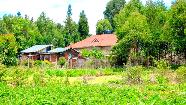 Prime 1/8th Acre Residential Plots for Sale in Kamangu