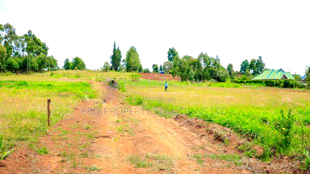Prime 1/8th Acre Residential Plots for Sale in Kamangu