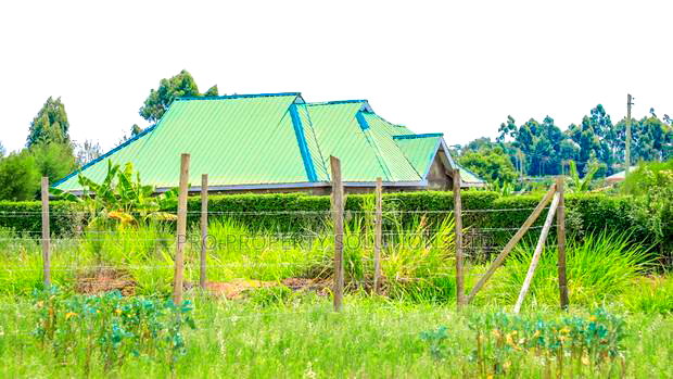 Prime 1/8th Acre Residential Plots for Sale in Kamangu
