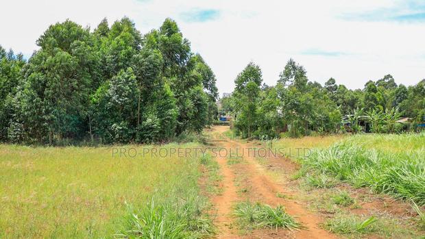 Prime 1/8th Acre Residential Plots for Sale in Kamangu