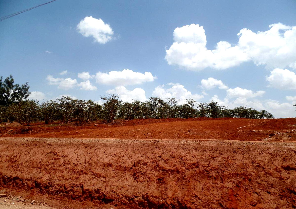 KSh 22M Quarter Acre in Runda