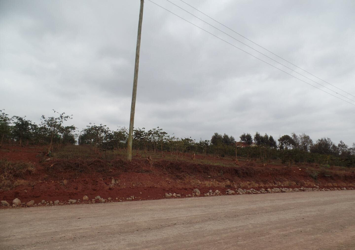 KSh 22M Quarter Acre in Runda