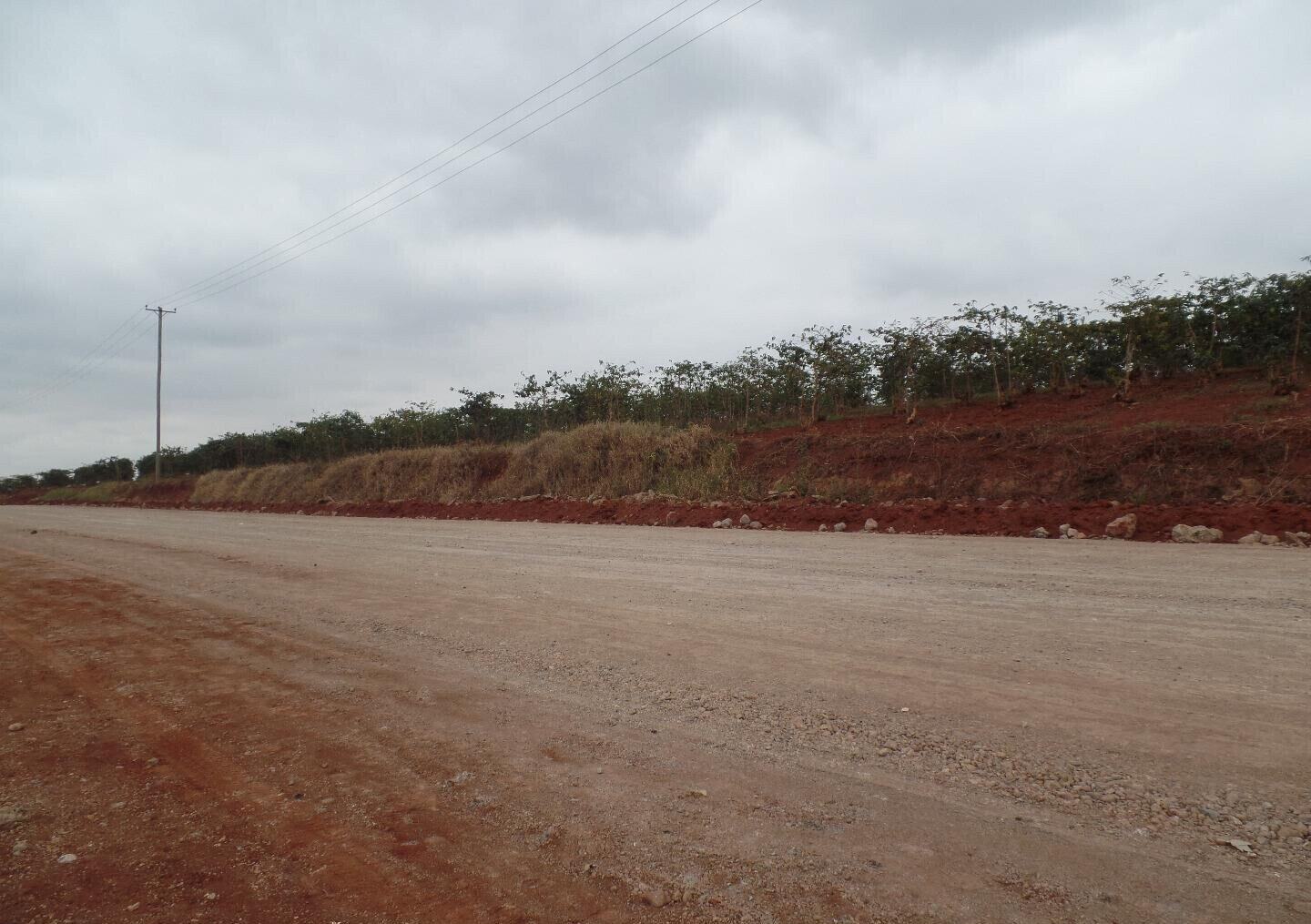KSh 22M Quarter Acre in Runda