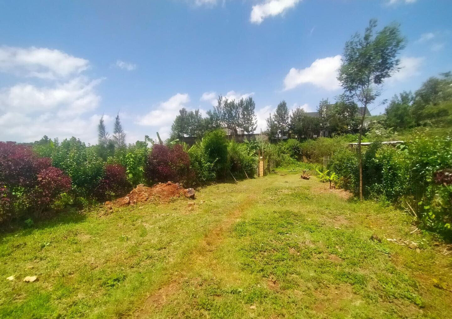 KSh 6.5M Kerarapon Plot
