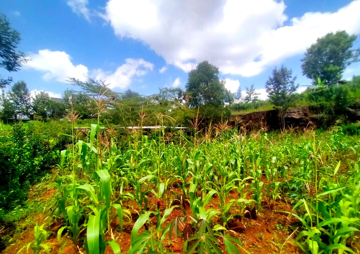 KSh 6.5M Kerarapon Plot