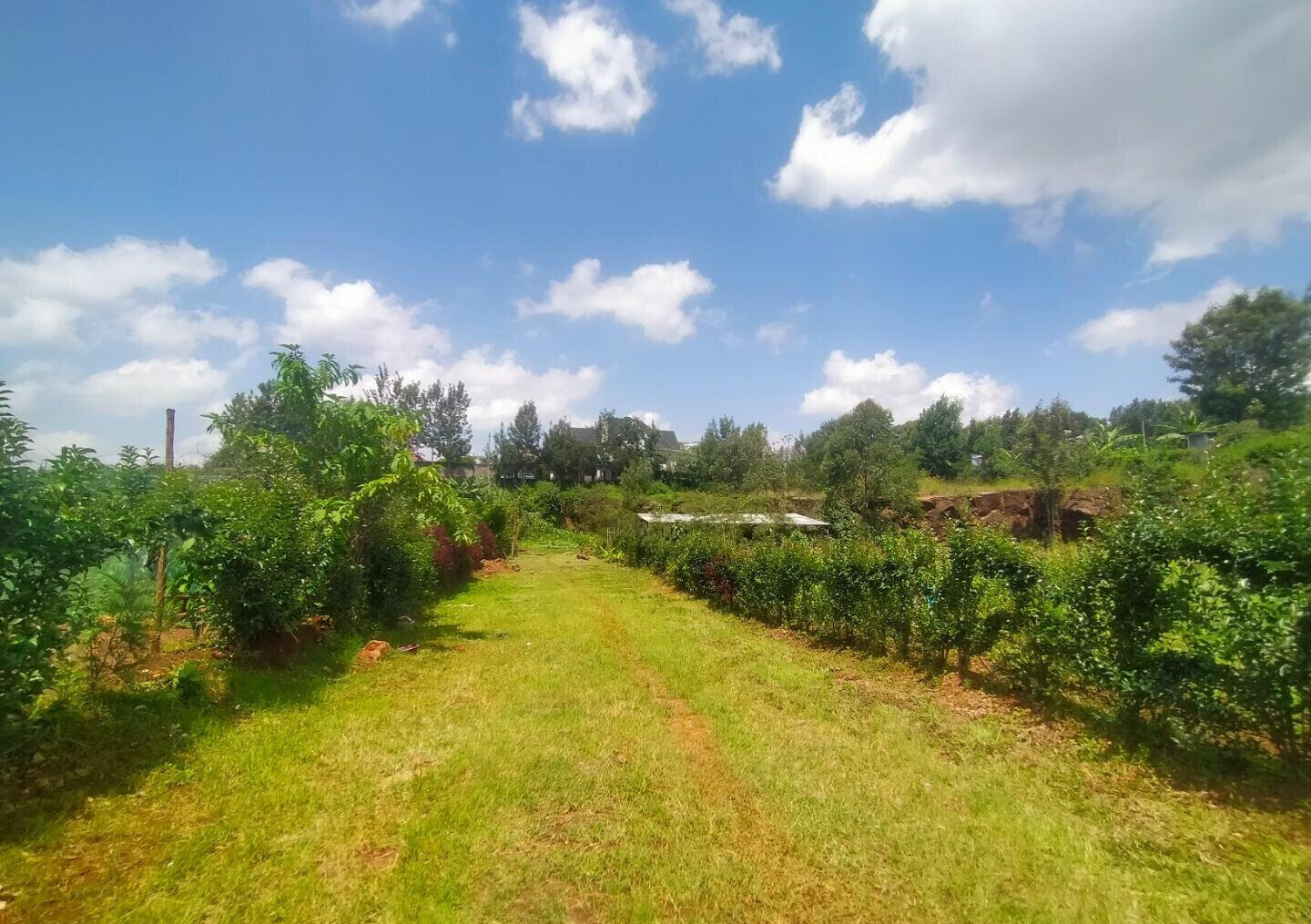 KSh 6.5M Kerarapon Plot