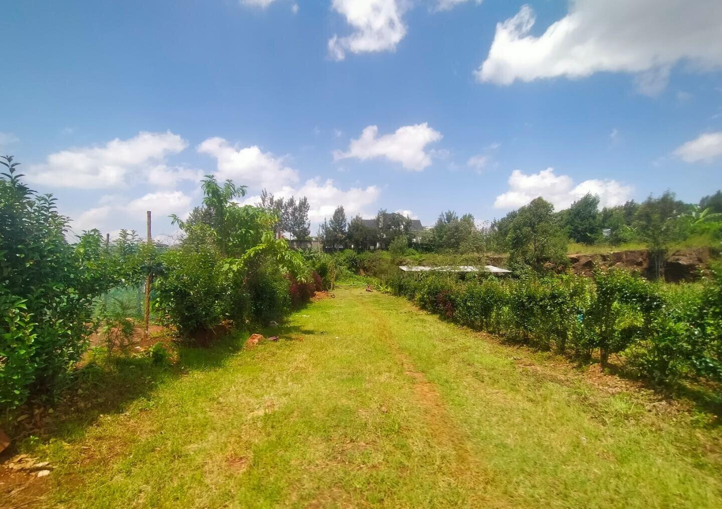 KSh 6.5M Kerarapon Plot