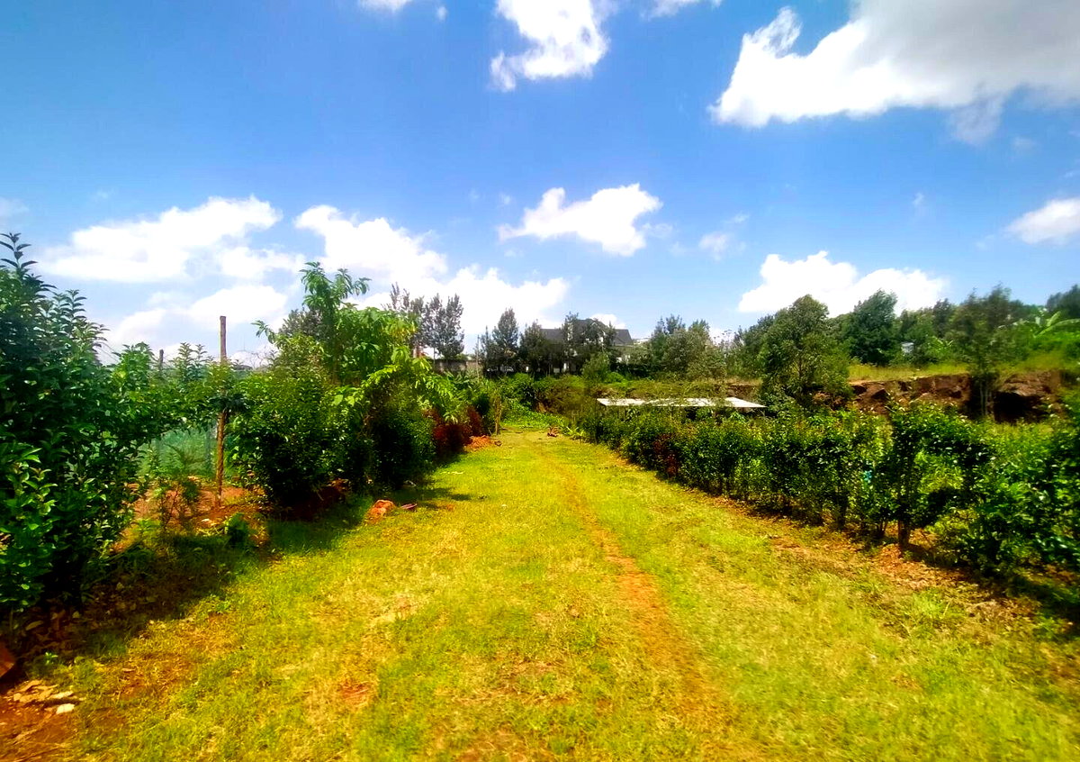 KSh 6.5M Kerarapon Plot