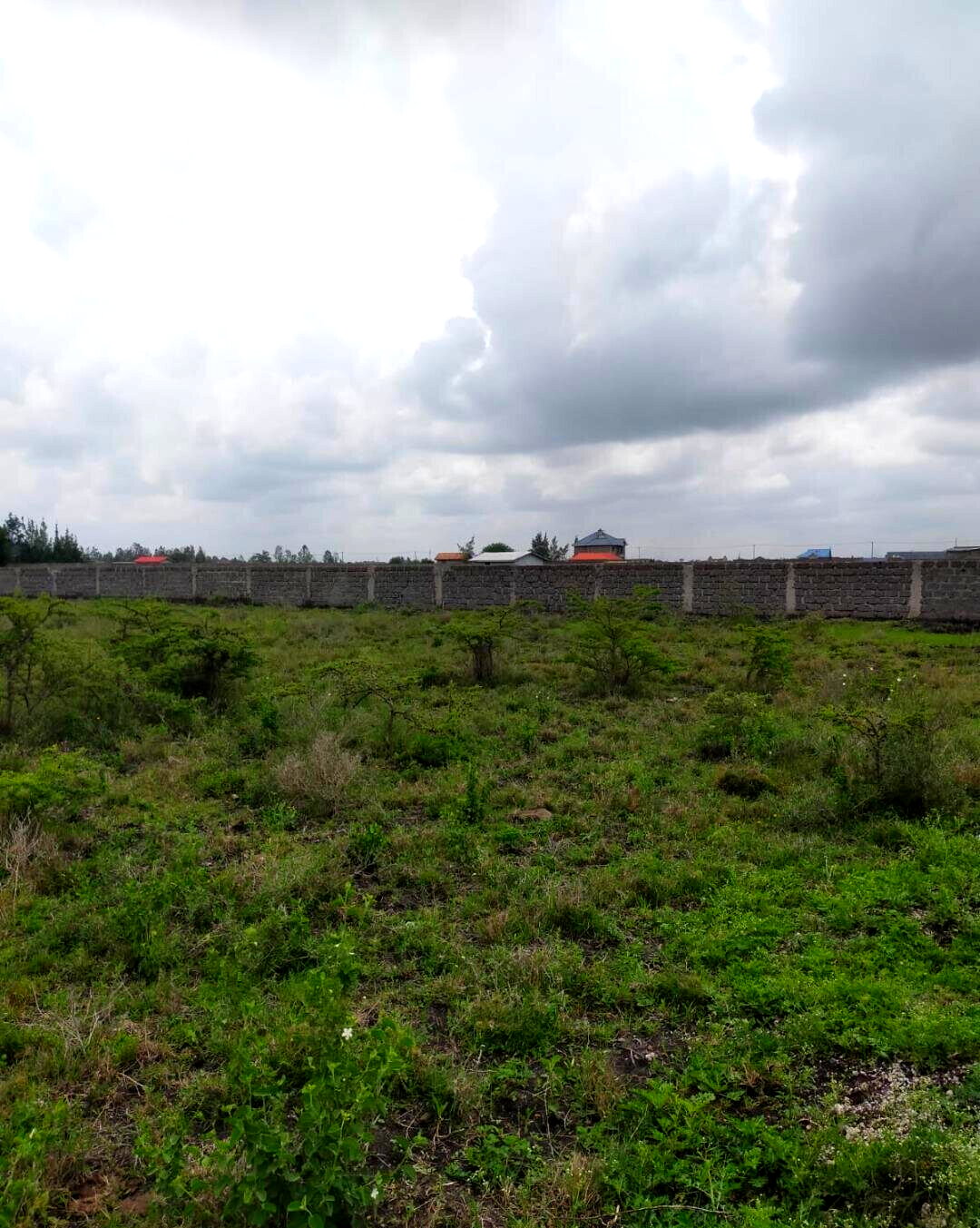 1-Acre Garden Plot at KSh 15M