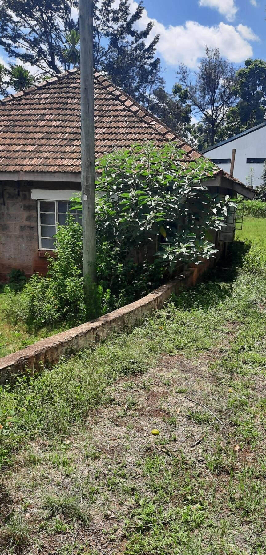 1-Acre Westlands Gem at KSh 370M