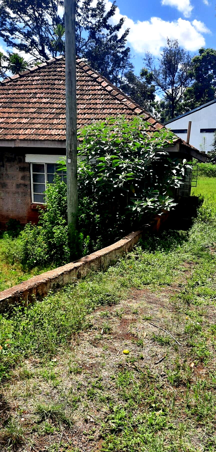 1-Acre Westlands Gem at KSh 370M