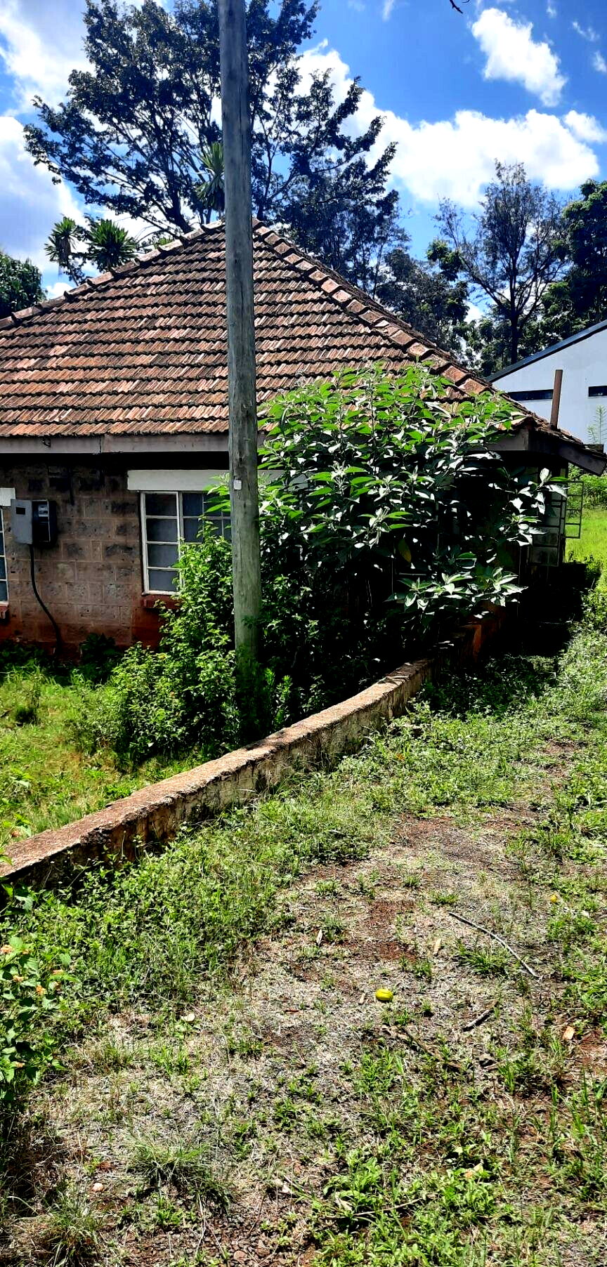1-Acre Westlands Gem at KSh 370M