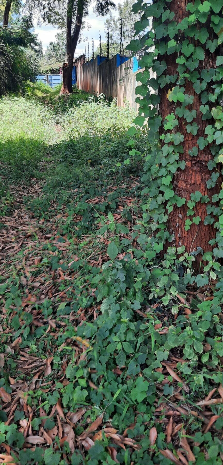 1-Acre Westlands Gem at KSh 370M