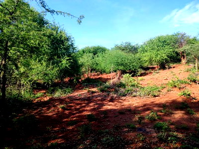 Embu County, Kiambere Agricultural 4acres Land - Image 11