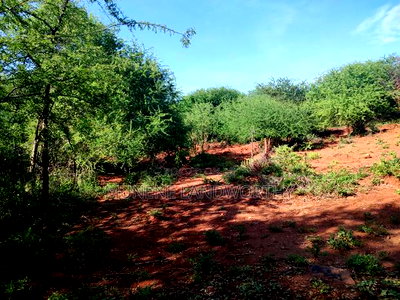 Embu County, Kiambere Agricultural 4acres Land - Image 10