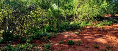 Embu County, Kiambere Agricultural 4acres Land - Image 13