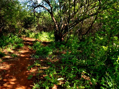 Embu County, Kiambere Agricultural 4acres Land - Image 5
