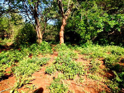 Embu County, Kiambere Agricultural 4acres Land - Image 4