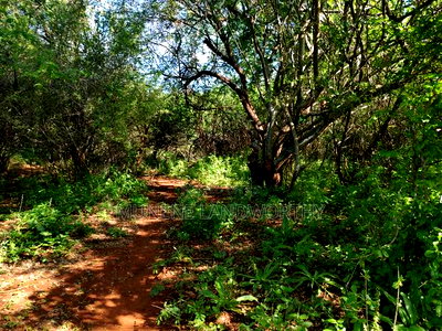 Embu County, Kiambere Agricultural 4acres Land - Image 6