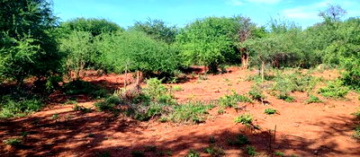 Embu County, Kiambere Agricultural 4acres Land - Image 7