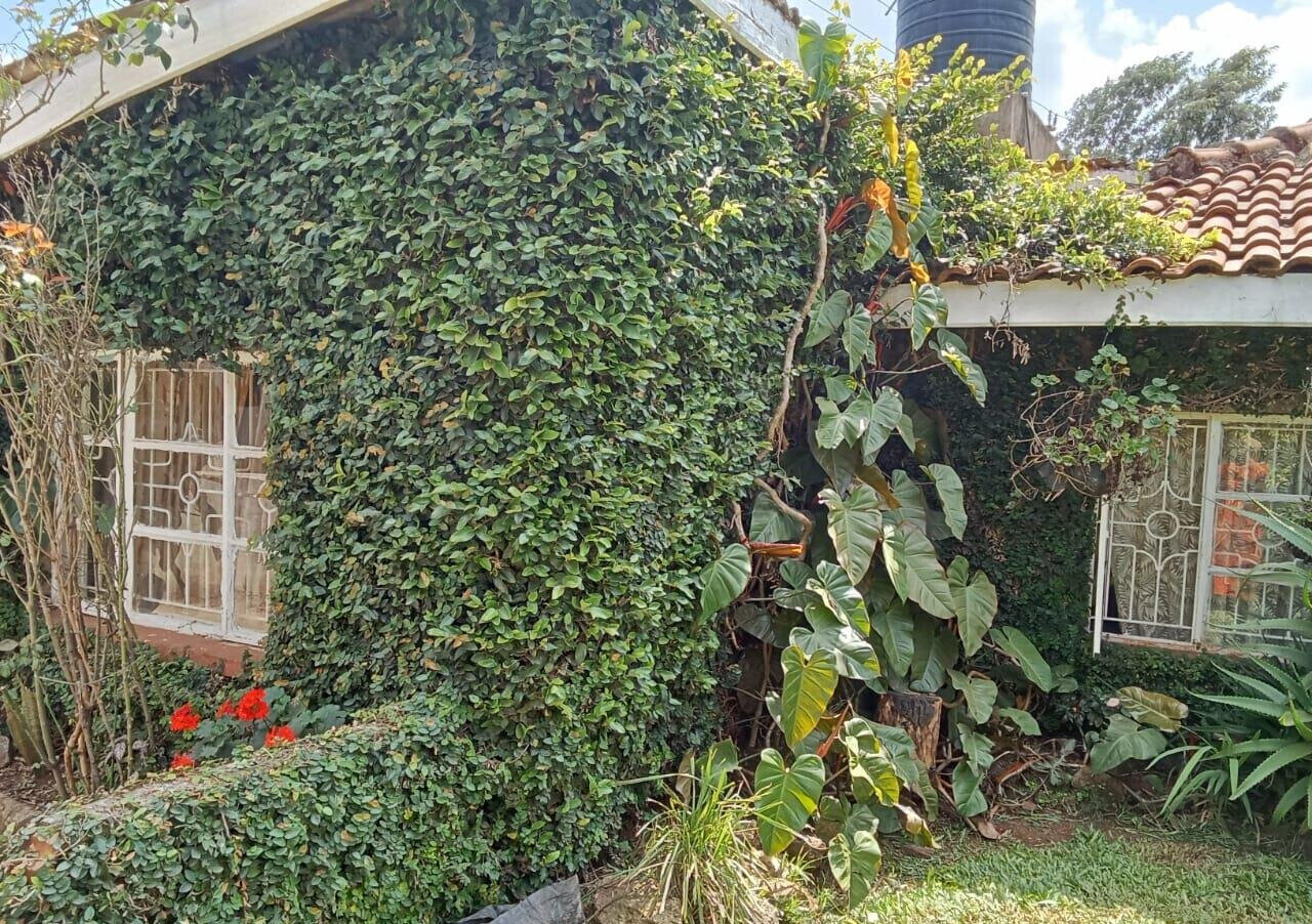 80x100 4BR Townhouse with Private Garden – Mwimuto, Kabete