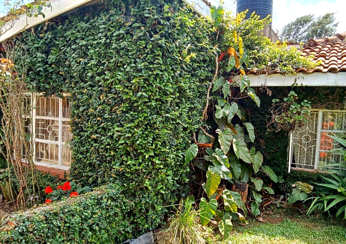 80x100 4BR Townhouse with Private Garden – Mwimuto, Kabete