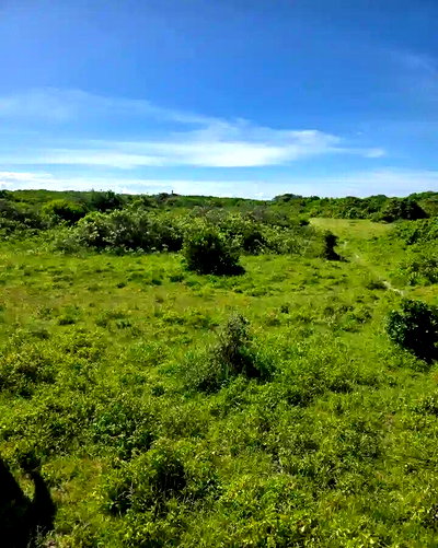 4-Acre Beachfront Land for KSh 180M