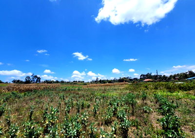 Garden Plot Under 2M in Limuru