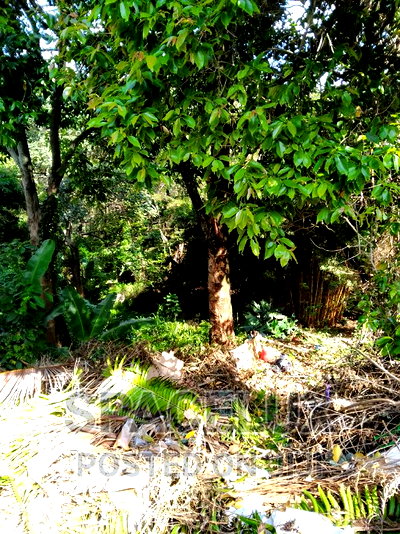 2.5 Acres Perfect for 5star Hotel Model - Image 1