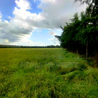 28 Acre Parcel of Land for Sale Kiserian - Image 4