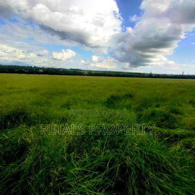 28 Acre Parcel of Land for Sale Kiserian - Image 5