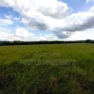 28 Acre Parcel of Land for Sale Kiserian - Image 3
