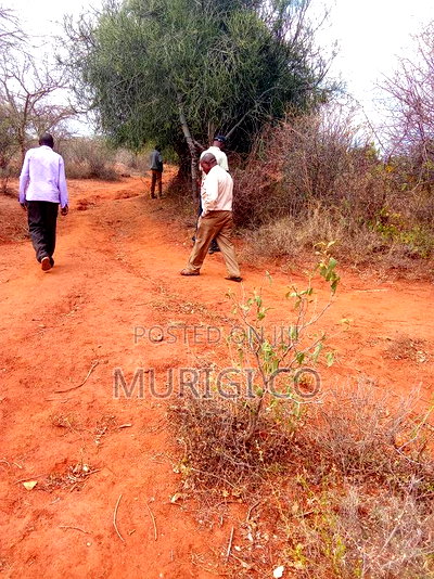 Fourty By Eighty - Image 1