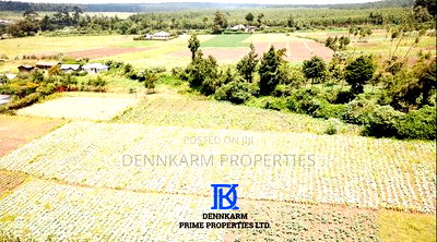 Prime Residential Plot for Quick Sale in Flyover, Magumu - Image 3