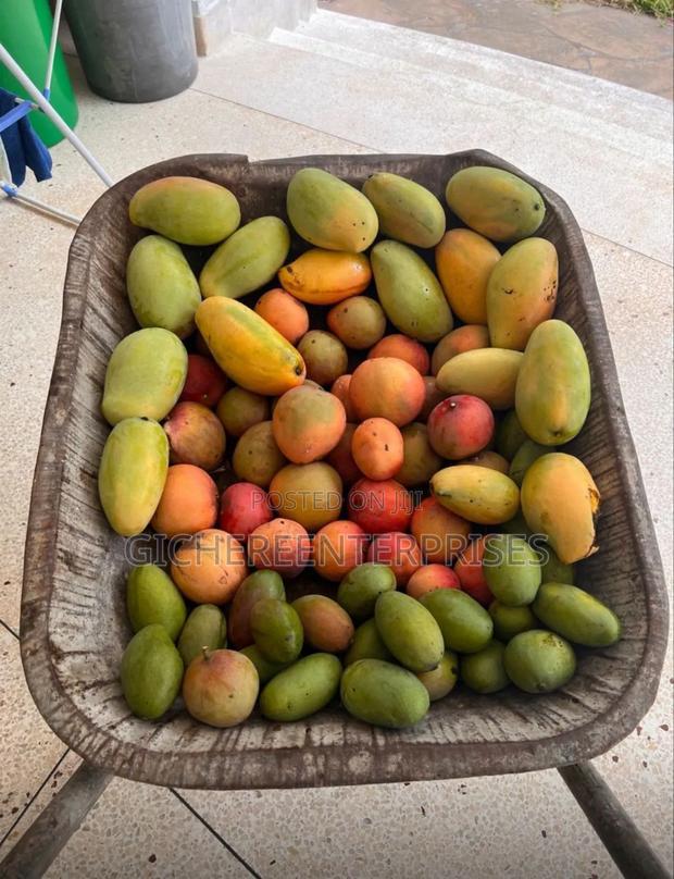 Furnished 4bdrm Farm House in Watamu for sale