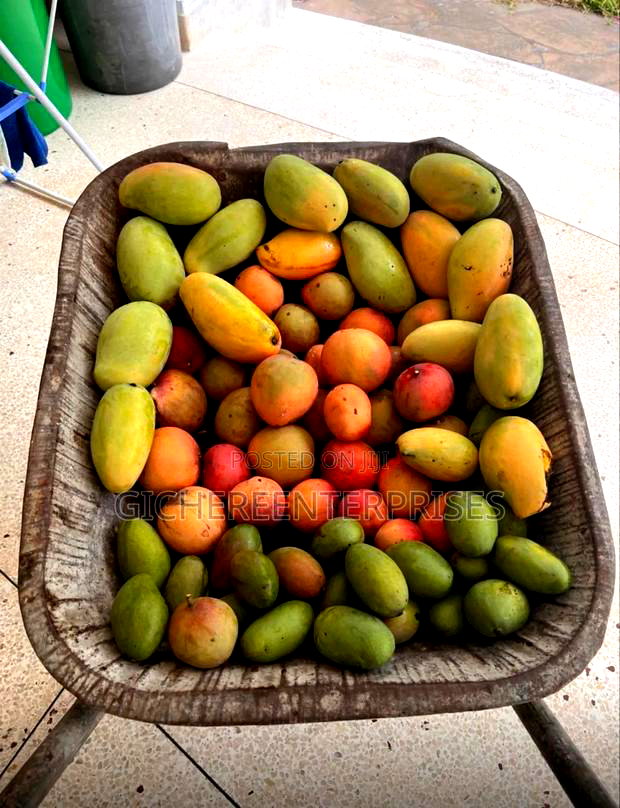 Furnished 4bdrm Farm House in Watamu for sale