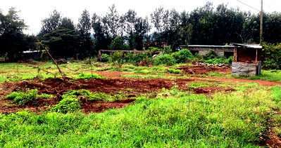 0.64 Acre Plot in Thindigua