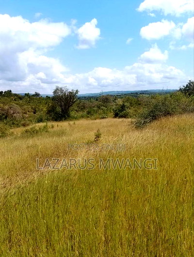 One Acre Mwea Karaba Kikumini Area Wango - Image 7