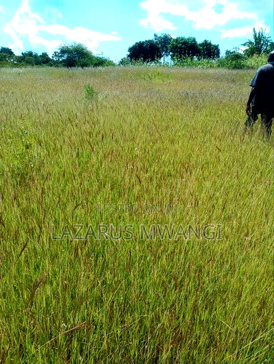 One Acre Mwea Karaba Kikumini Area Wango - Image 8