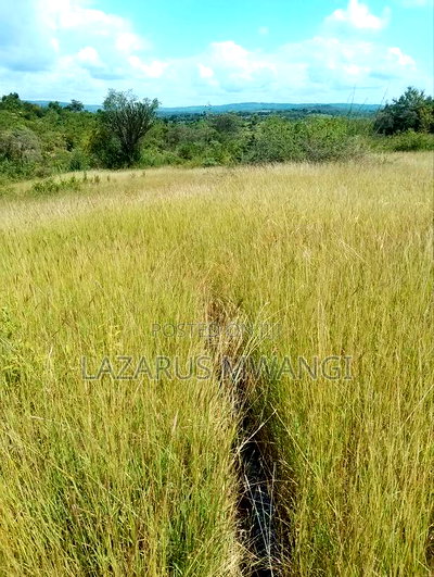 One Acre Mwea Karaba Kikumini Area Wango - Image 1