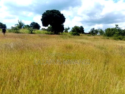 One Acre Mwea Karaba Kikumini Area Wango - Image 6