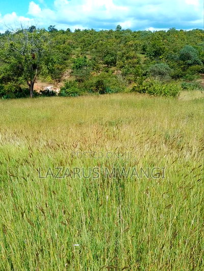 One Acre Mwea Karaba Kikumini Area Wango - Image 4