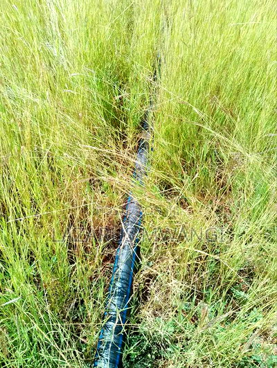 One Acre Mwea Karaba Kikumini Area Wango - Image 2